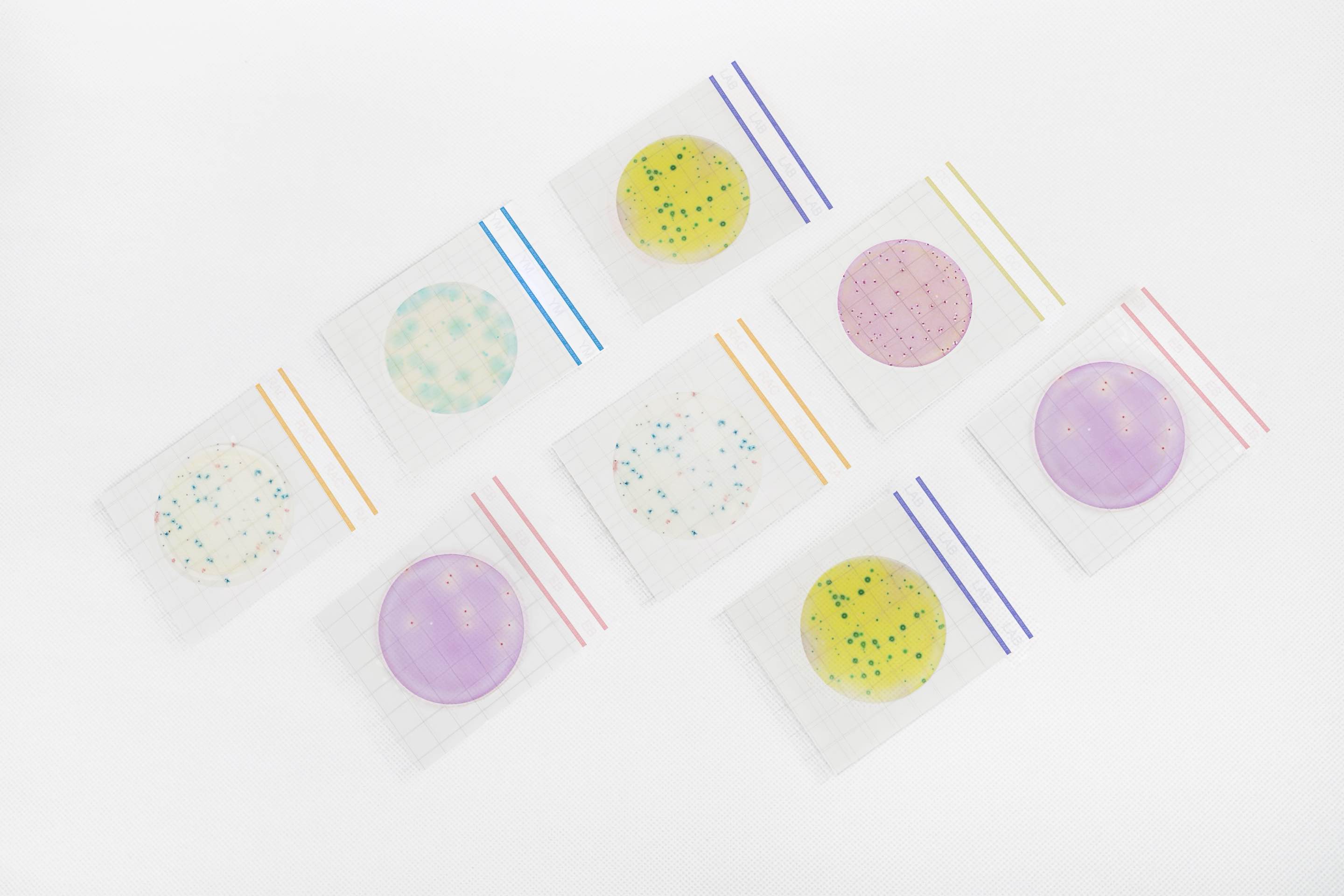 Premium系列測試片正式發(fā)布，為美正全球食品安全檢測領(lǐng)域再添利器！